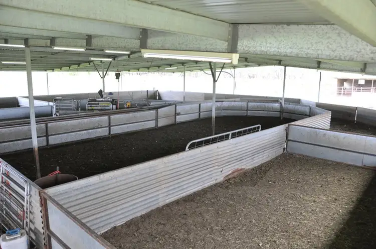 Sixth view of Homely rural property listing, 10 Hancocks Bridge Rd, Kotupna VIC 3638