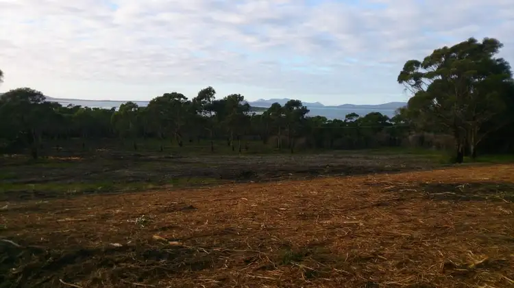 Main view of Homely house listing, 274 Badger Corner Road, Lady Barron TAS 7255