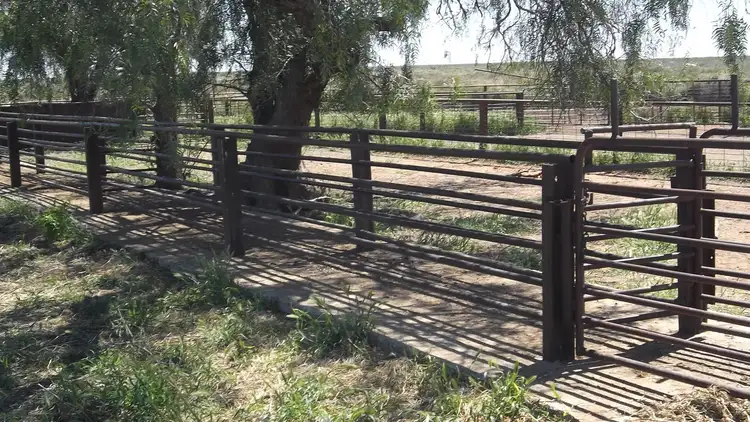 Fifth view of Homely rural property listing, Address available on request