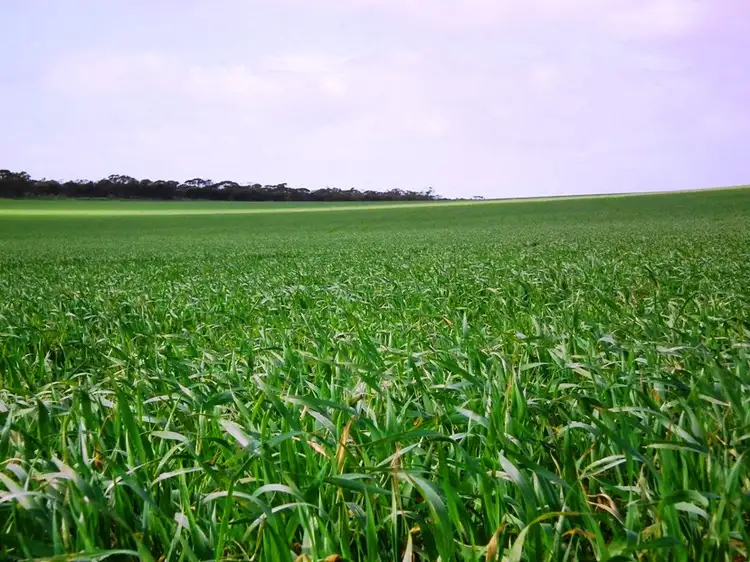 Sections 25, 55 & 90 Hundred of Smeaton, Kielpa SA 5642
