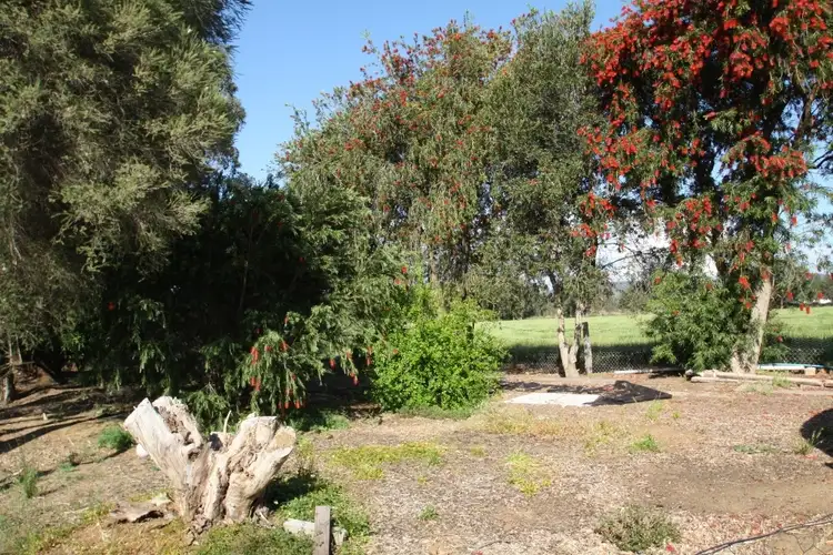 Third view of Homely house listing, 203 JAMES RD, Waroona WA 6215