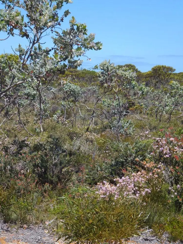 Third view of Homely land listing, 103 Whale Bay Drive, Hopetoun WA 6348