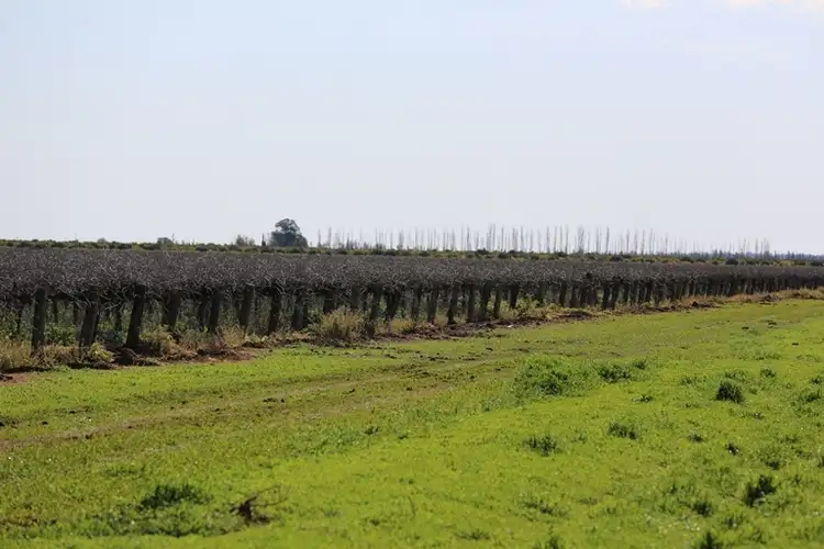 Sixth view of Homely land listing, Farm 1802c Whites Road, Tharbogang NSW 2680