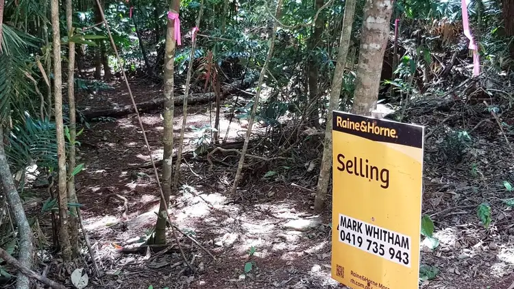 Main view of Homely land listing, Lot 514 Silver Ash Road, Daintree QLD 4873