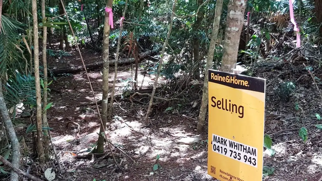 Main view of Homely land listing, Lot 514 Silver Ash Road, Daintree QLD 4873