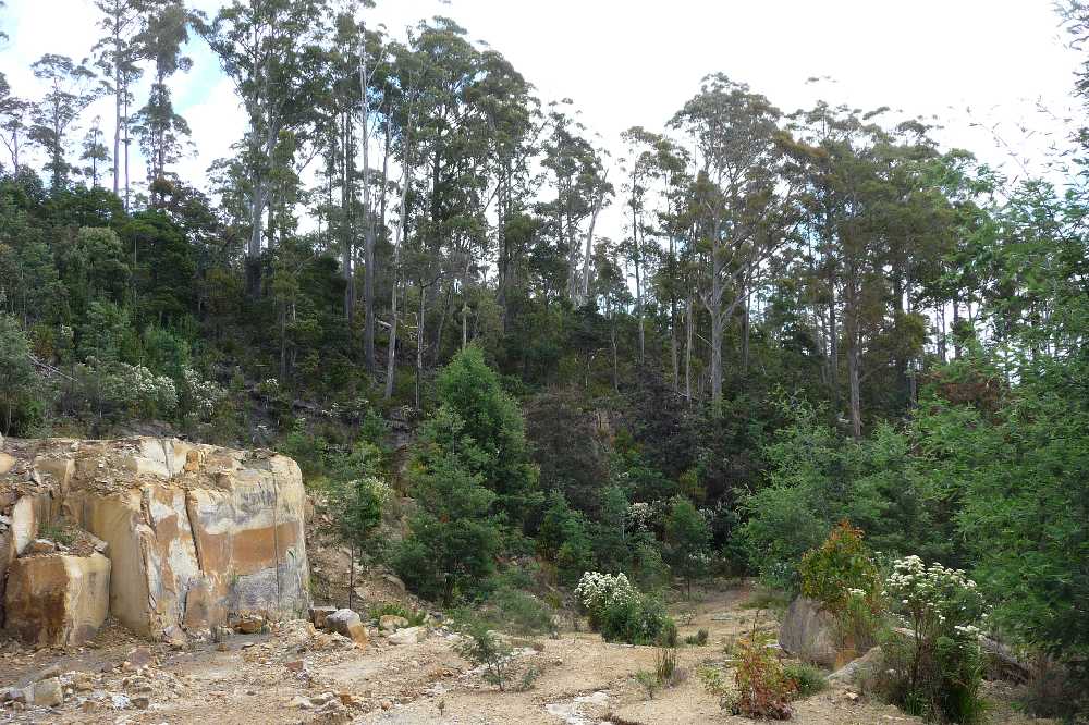 Main view of Homely rural property listing, 39009 Tasman Highway, Nunamara TAS 7259