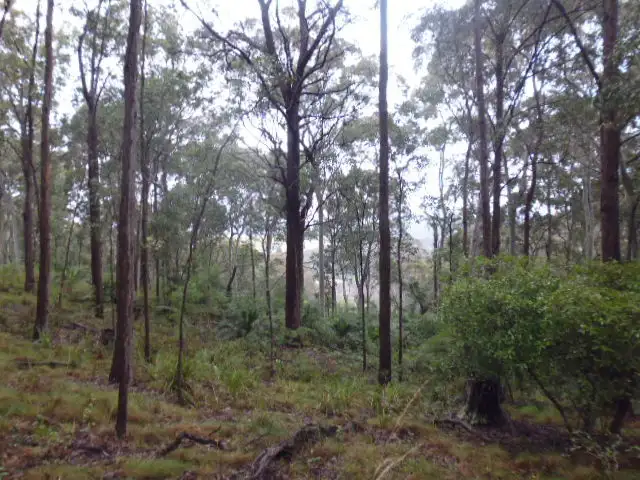 Second view of Homely rural property listing, Lot 5 Goat's Knob Road, Tathra NSW 2550