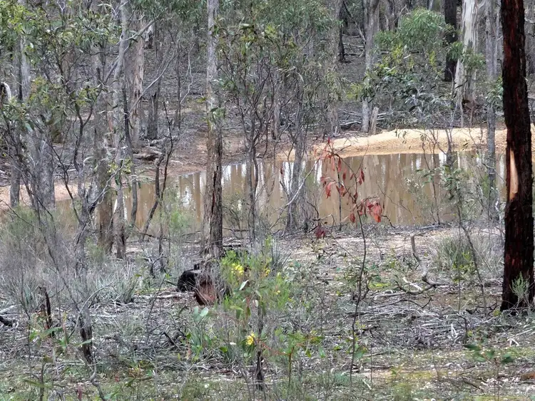 Third view of Homely land listing, Lot 1-TP512056 Pyrenees Highway, Avoca VIC 3467