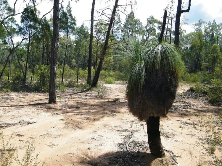 Lot 6 Premer, Premer NSW 2381