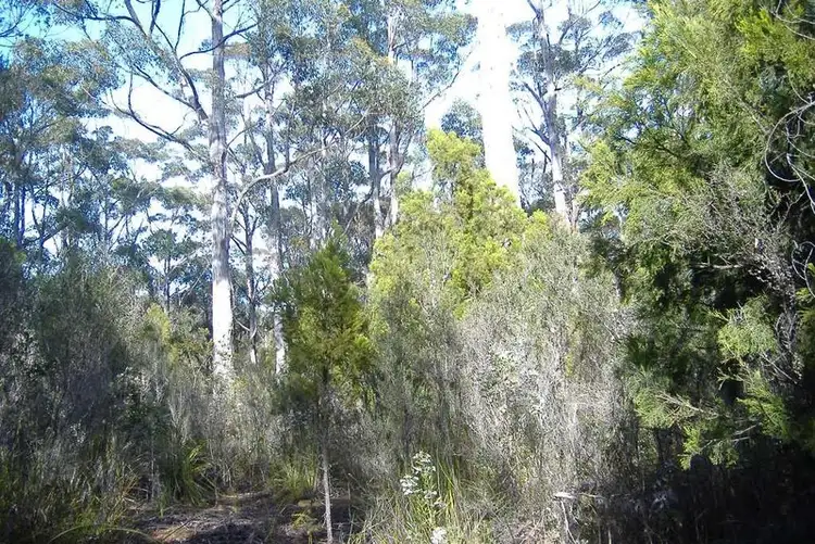 Fourth view of Homely land listing, Lot 38 Sea View Rd, Adventure Bay TAS 7150
