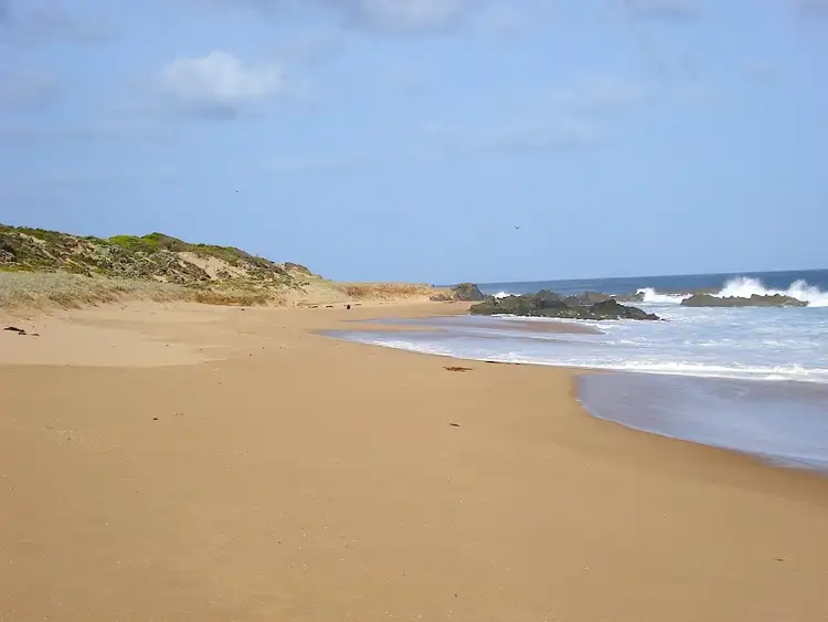 Fifth view of Homely rural property listing, 113 BOLD HEAD ROAD, King Island TAS 7256