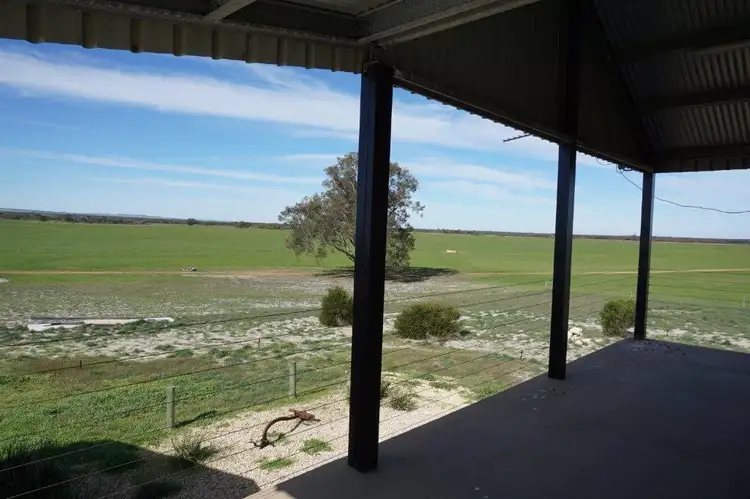 Fifth view of Homely rural property listing, 3127 Mimegarra Road, Dandaragan WA 6507
