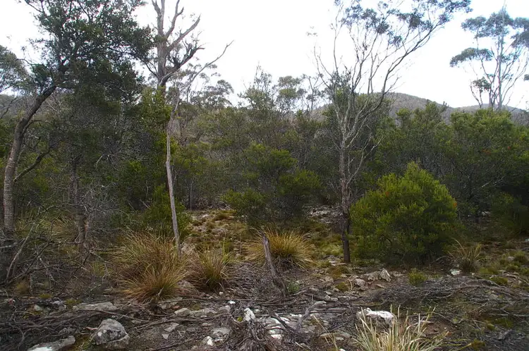 Sixth view of Homely rural property listing, Lot 3 Distillery Track, Nunamara TAS 7259