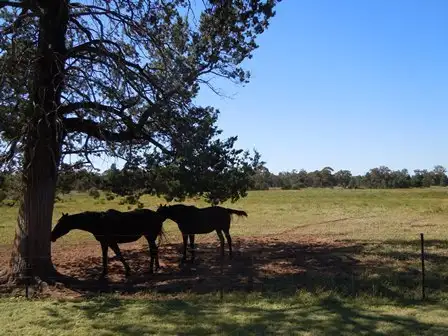 Third view of Homely land listing, Lot 23, 111 Pine Hill Road, Narrandera NSW 2700