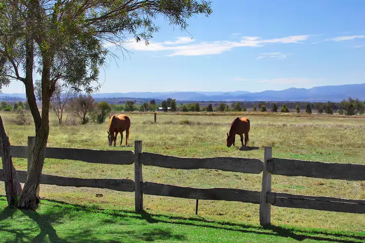 Fourth view of Homely rural property listing, Oakdale 462 Duri-Wallamore Road, Tamworth NSW 2340
