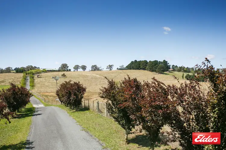 Sixth view of Homely house listing, 206 Gooromon Ponds Road, Wallaroo NSW 2618