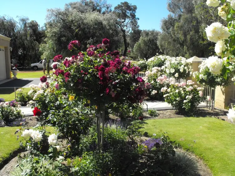 Second view of Homely house listing, 24 Klaehn Crescent, Yalyalup WA 6280