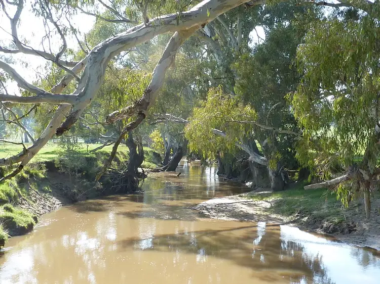 Fifth view of Homely rural property listing, 750 Humula Road ,Humula, Wagga Wagga NSW 2650