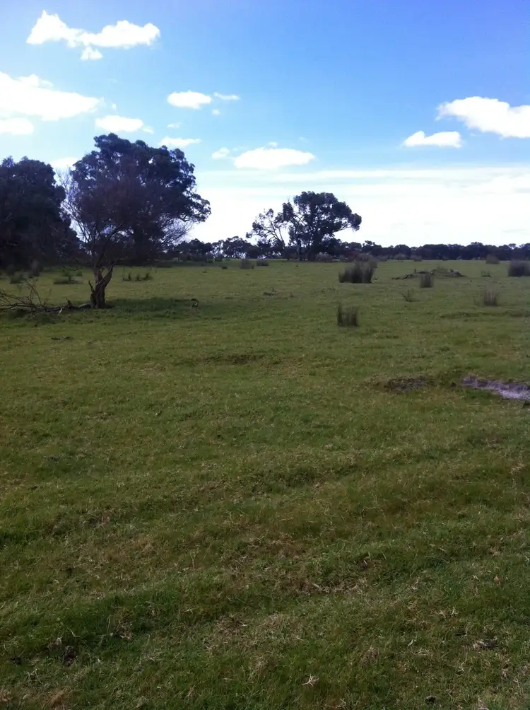 Seventh view of Homely rural property listing, 203 Millbrook Road, Albany WA 6330
