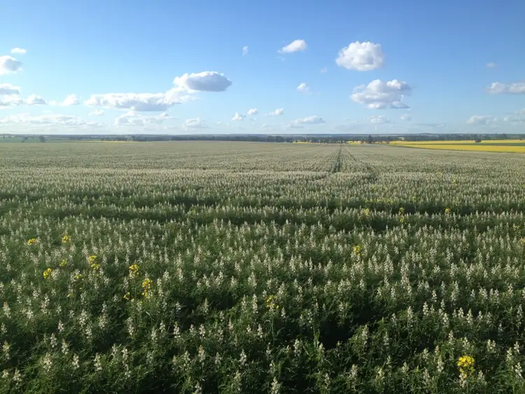 Seventh view of Homely rural property listing, - 'Stonecroft', Coolamon NSW 2701