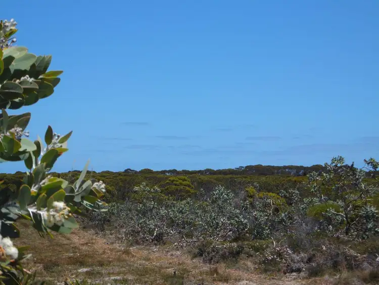 Seventh view of Homely land listing, 27 Whale Bay Drive, Hopetoun WA 6348