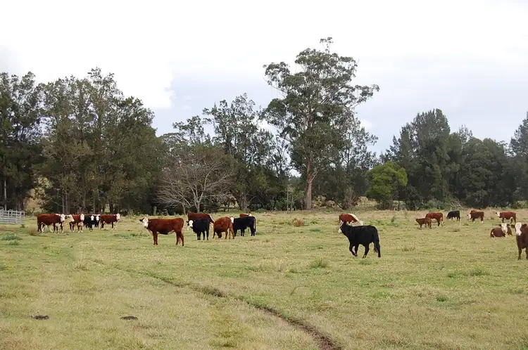 Main view of Homely rural property listing, 544 Duck Creek Road, Old Bonalbo NSW 2469