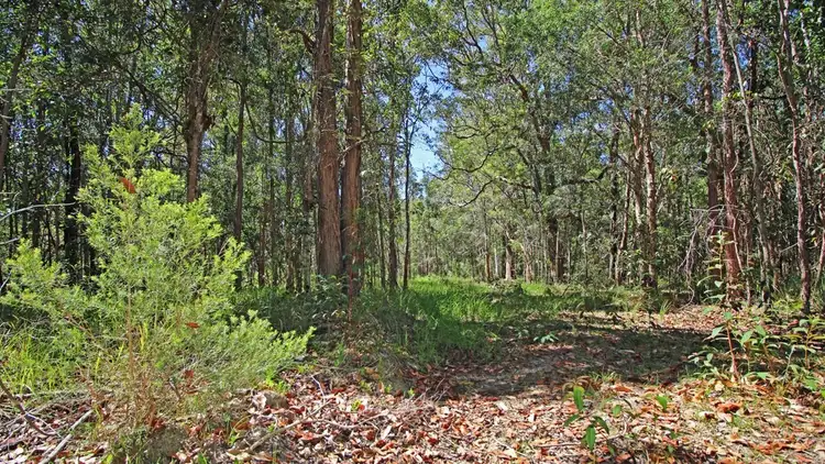 Second view of Homely rural property listing, 2410 Bungawalbin-Whiporie Road, GIBBERAGEE via, Casino NSW 2470