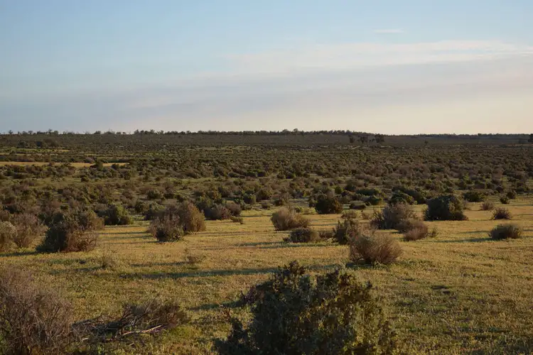 Main view of Homely rural property listing, Huntingfield Nulla Road, Wentworth NSW 2648
