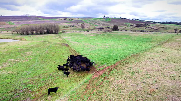 Fifth view of Homely rural property listing, 64 Heifer Station Lane, Orange NSW 2800