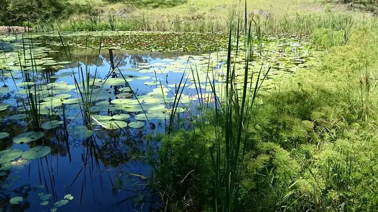 Fifth view of Homely rural property listing, Address available on request