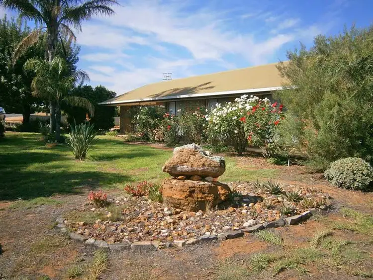 87 Medley Road, Waikerie SA 5330