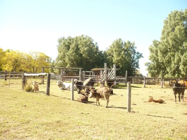 Third view of Homely rural property listing, 2143 Rennicks Rd, Chinchilla QLD 4413