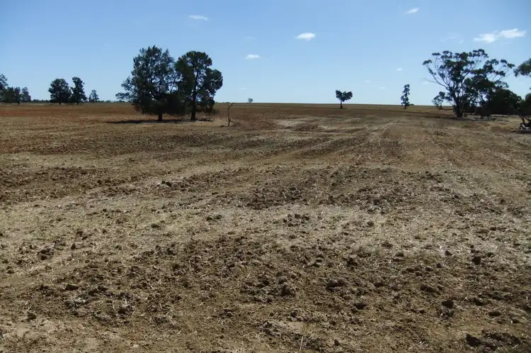 Seventh view of Homely rural property listing, "Trelawn" Wild Horse Tank Road, Merriwagga NSW 2652