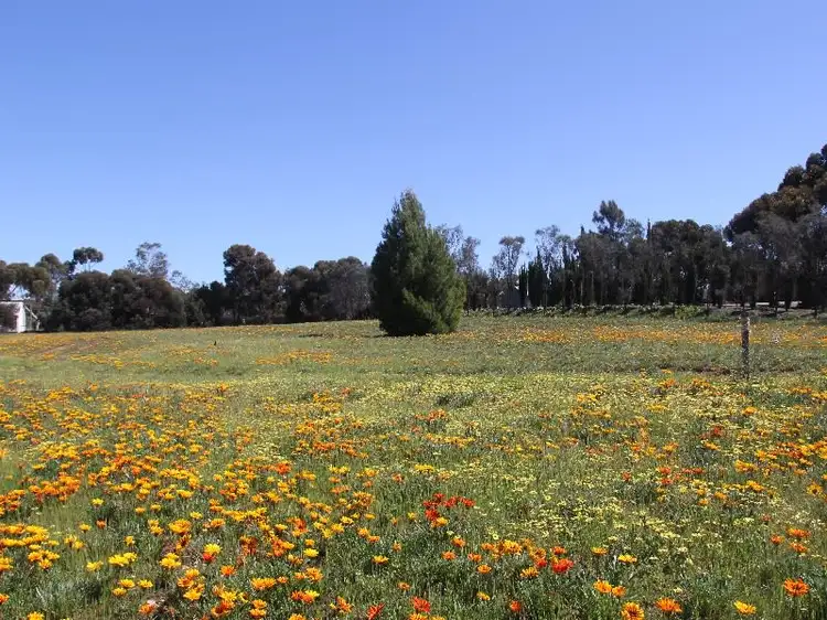 Seventh view of Homely house listing, 81 Tooma Road, Murray Bridge SA 5253