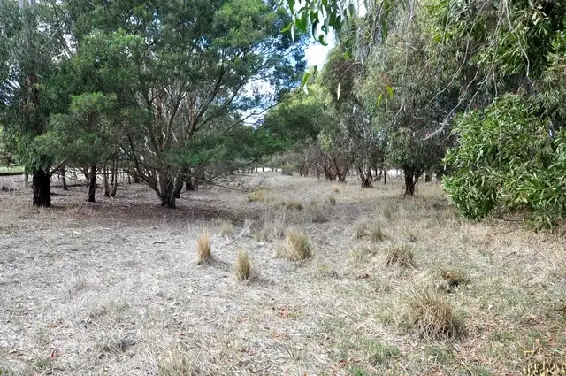 Third view of Homely rural property listing, Twin Streams 105 Willowite Road, Freshwater Creek VIC 3217