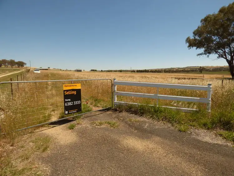 Sixth view of Homely land listing, 573 Wirrimah Road, Wirrimah NSW 2803