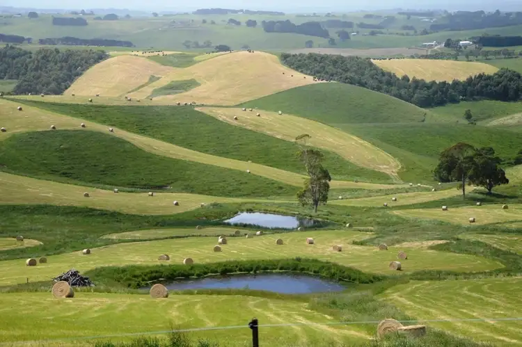 Seventh view of Homely rural property listing, Lot 4 Craig Road, Glen Forbes VIC 3990