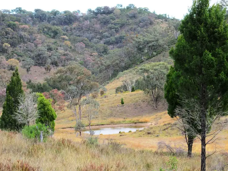 Fifth view of Homely rural property listing, 306 Windeyer Road, Mudgee NSW 2850