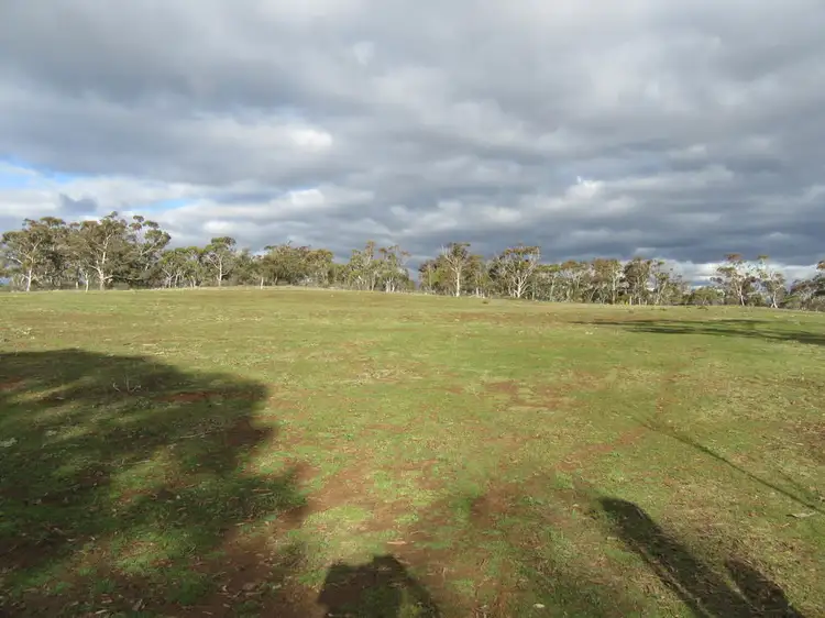 Second view of Homely rural property listing, 466 Caddigat Rd, Dry Plain NSW 2630