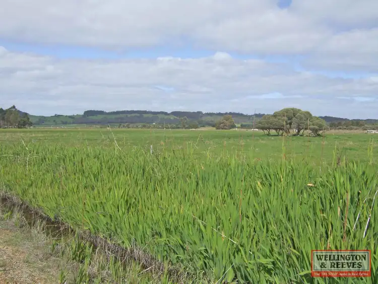 Fourth view of Homely rural property listing, 2944 Lower Denmark Road, Youngs Siding WA 6330