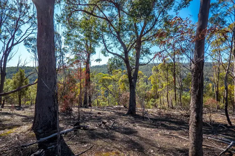 Fifth view of Homely land listing, 373a Church Road, Dromedary TAS 7030