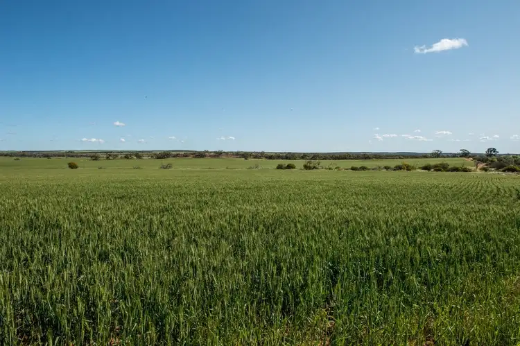Main view of Homely rural property listing, 624 Warribanno - Chimney Road, Ajana WA 6532