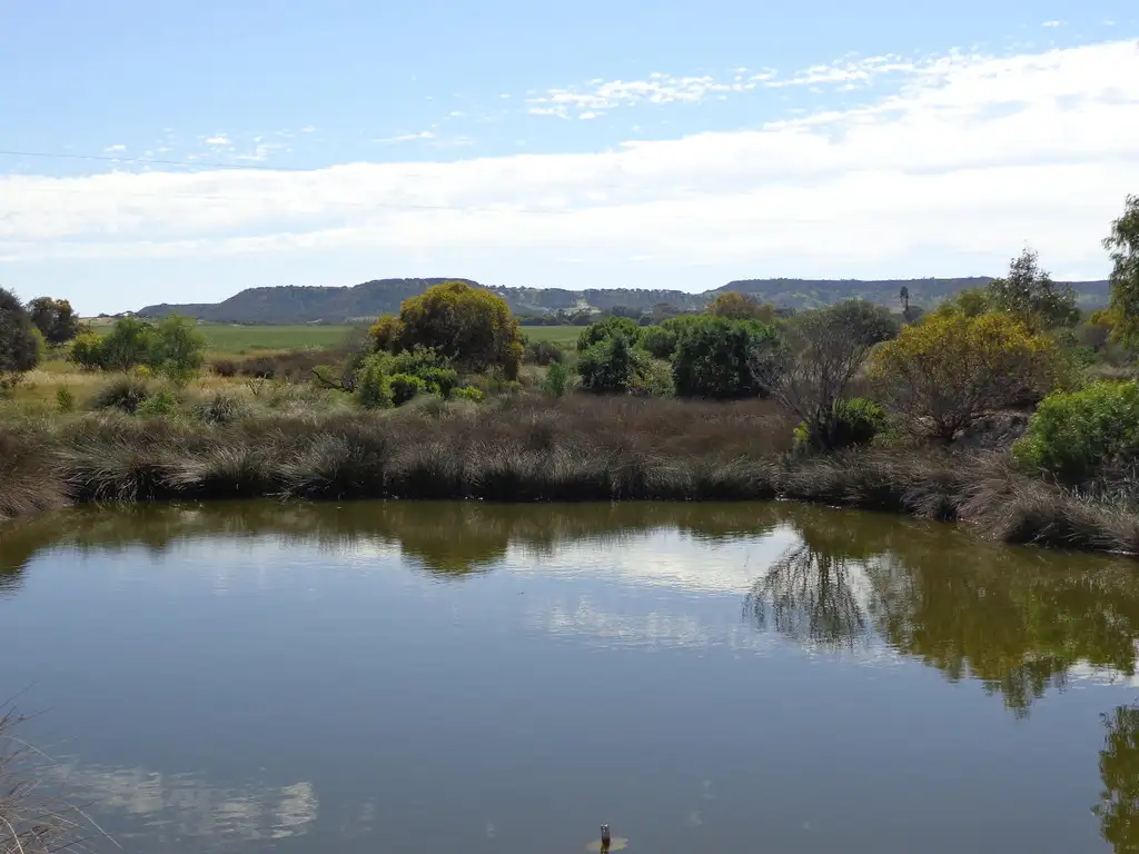 Main view of Homely land listing, Lot 51 North West Coastal Highway, Howatharra WA 6532