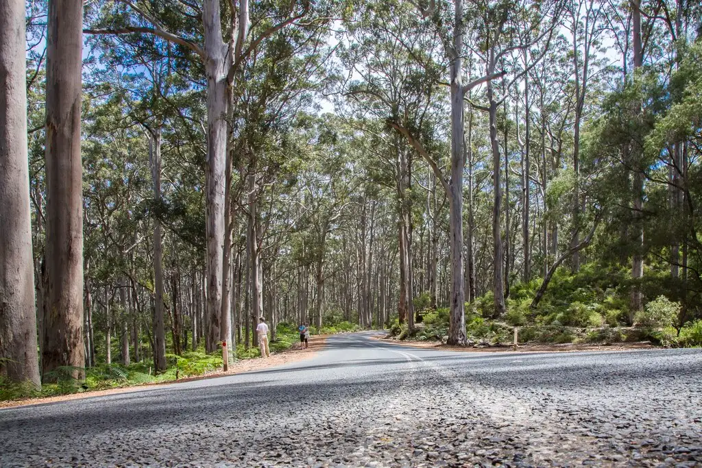 Main view of Homely land listing, 10 Coral Vine Cross, Cowaramup WA 6284