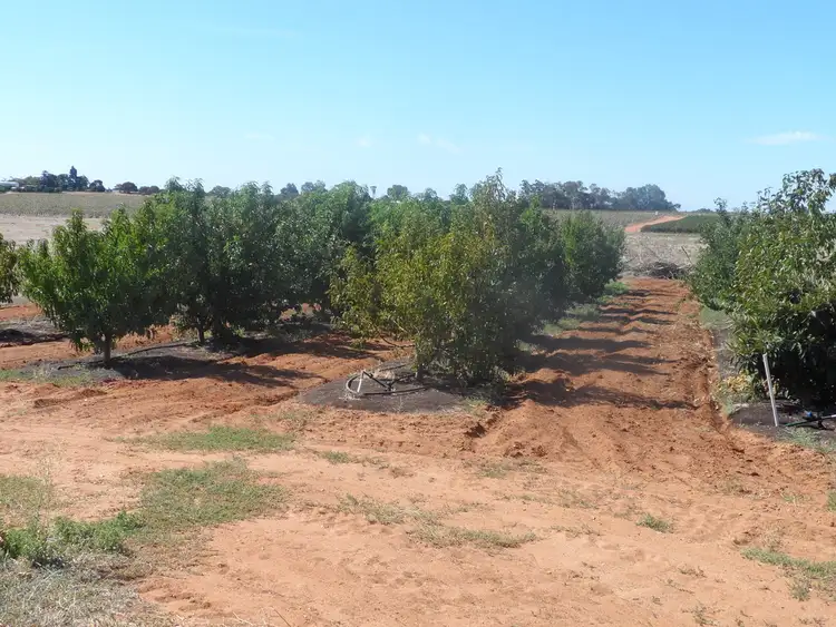 Second view of Homely land listing, 283 Kibby Road, Loxton SA 5333