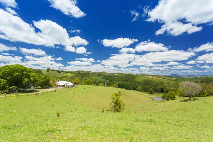 595 Black Mountain Road, Black Mountain QLD 4563