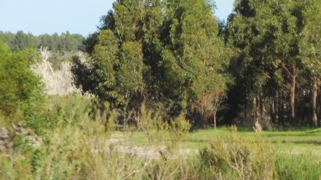 Seventh view of Homely rural property listing, Address available on request