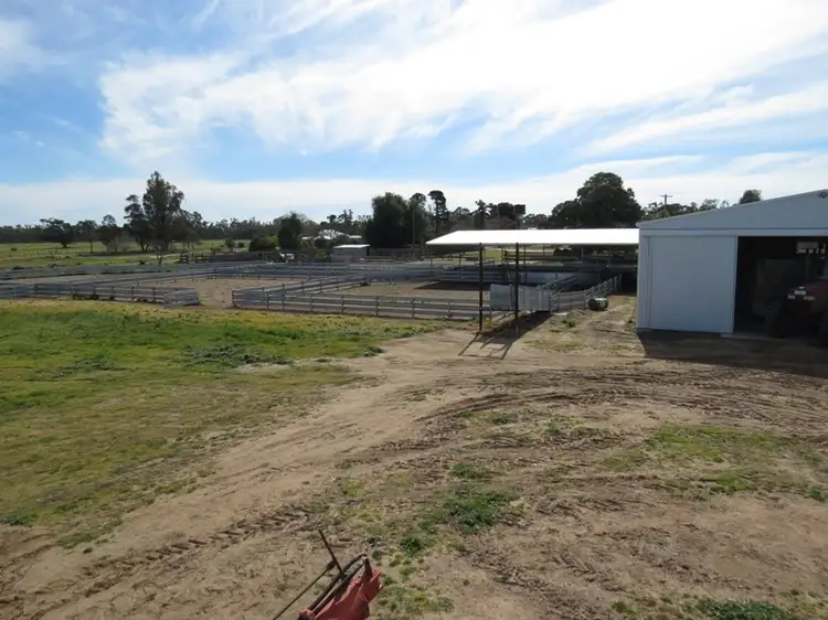 Sixth view of Homely rural property listing, WIDGEE Wakool Road, Deniliquin NSW 2710