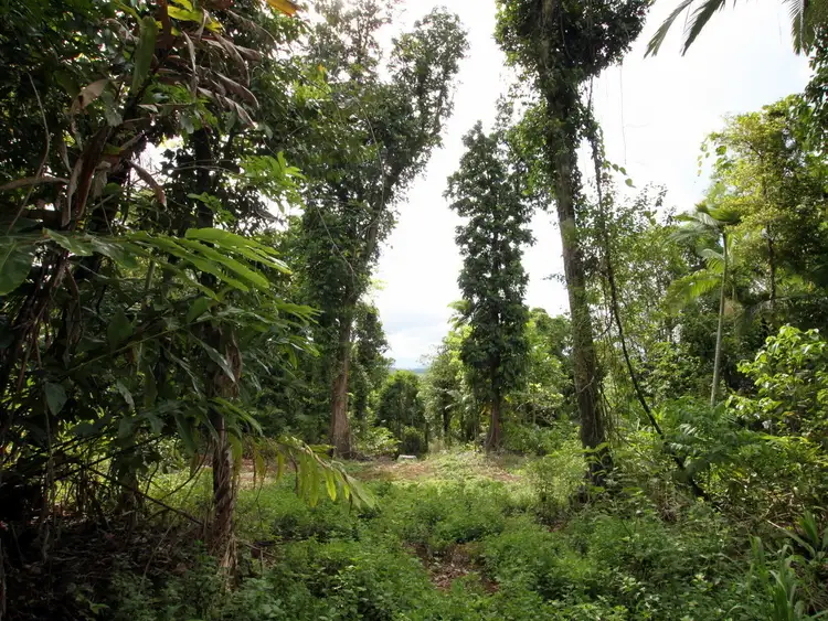 Third view of Homely rural property listing, LOT 2 WALTER LEVER ESTATE ROAD, Japoonvale QLD 4856