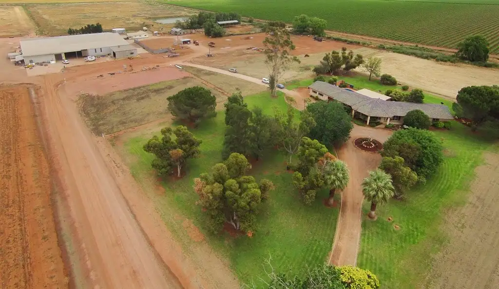 Main view of Homely rural property listing, 1316 Walla Avenue, Griffith NSW 2680